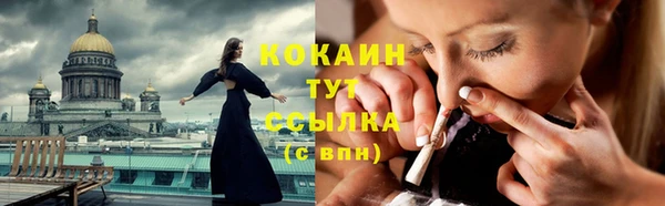 тгк Алзамай